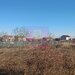 Sabareni, teren intravilan construibil, cu utilitati in apropiere