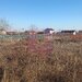 Sabareni, teren intravilan construibil, cu utilitati in apropiere